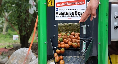 Büyükşehir’in ceviz soyma makineleri üreticilerin hizmetinde