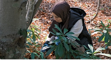 Kuzuyayla’da mantarların gizemli dünyası keşfedildi