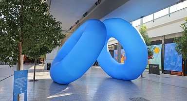 Boehringer Ingelheim Türkiye ve İç Hastalıkları Uzmanlık Eğitim Araştırma Derneği’nden Diyabet Farkındalığına Yönelik Proje