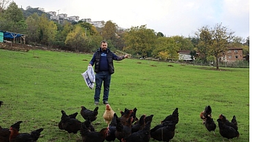 Kırsalda geçim kapısı güçleniyor, istihdam artıyor