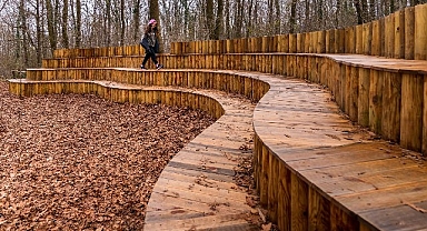 Sonbahar, huzurun adresi Ormanya’da bir başka